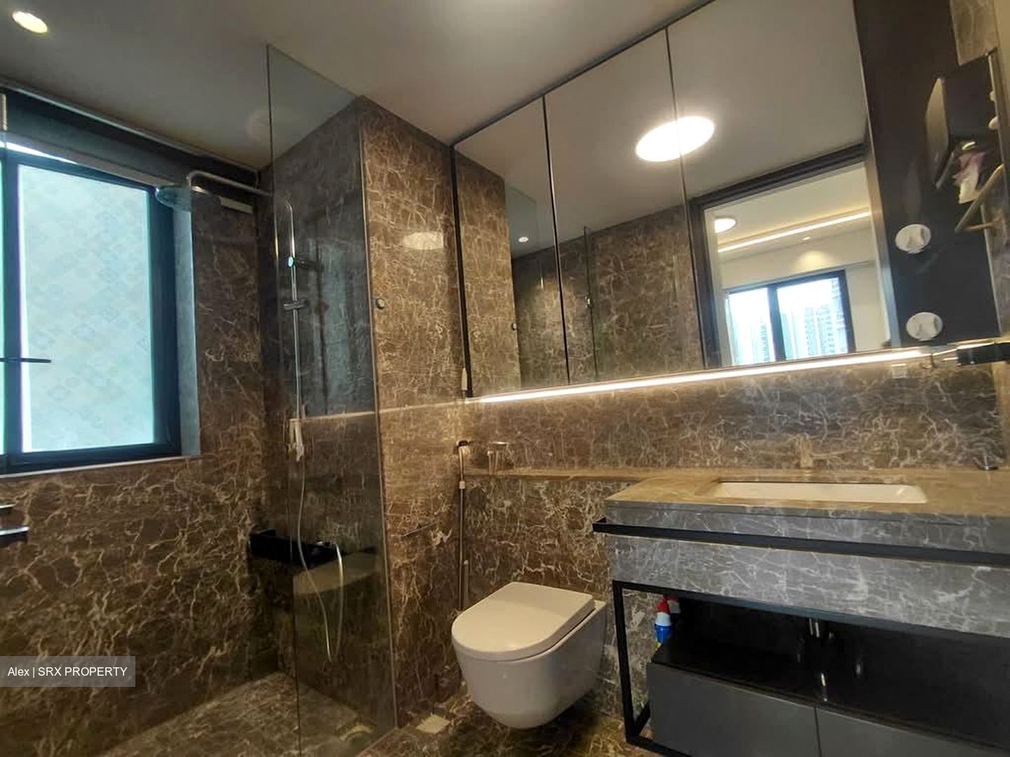 Amber 45 (D15), Apartment #578710961
